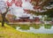 Byodoin Temple Pagoda and lake with red maple leaves or fall foliage in autumn season. Colorful trees, Kyoto, Japan. Nature and