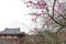 Byodoin Temple, Uji, Kyoto, Japan.