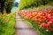 byway stretch alongside vibrant tulip fields