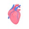 C Cardiology diagnostic center sign. Human contoured heart flat design. Medical science anatomy illustration.