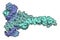 c-Myc and Max transcription factors bound to DNA. 3D illustration