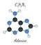 C5H5N5 adenine molecule