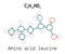 C6H13NO2 amino acid Leucine molecule