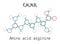 C6H14N4O2 amino acid Arginine molecule