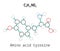 C9H11NO3 amino acid Tyrosine molecule