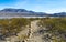 Caballo Lake in New Mexico