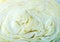 Cabbage background.