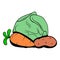 Cabbage, carrot, potatoe icon cartoon