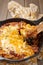 Cabbage casserole with beef, rice and cheese