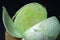 Cabbage on a dark background. Cabbage cut into two halves on a black background.