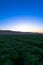 Cabbage field sunset Soledad California