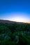 Cabbage field sunset Soledad California