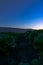 Cabbage field sunset Soledad California