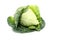 Cabbage with green large leaves grows isolate