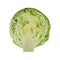 Cabbage Half 3d Illustration Isolated on White Background Isolated