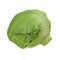 Cabbage Half 3d Illustration Isolated on White Background Isolated