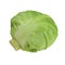 Cabbage Half 3d Illustration Isolated on White Background Isolated