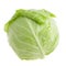 Cabbage-head