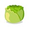 Cabbage icon in flat style. Isolated object. Vegetable from the garden. Organic food.