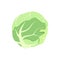 Cabbage icon. Food for a healthy diet. Natural product made from green vegetables, suitable for vegetarians. A source of