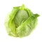 Cabbage isolated