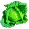 Cabbage isolated on a background. Agriculture. Healthy and healthy food for humans. Selective focus