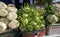 Cabbage kohlrabi, fennel and cauliflower far sale at street mark
