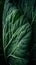 cabbage leaves pattern photorealistic close-up, ai generation