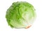 Cabbage lettuce