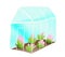 Cabbage or lettuce growing in Greenhouse Isolated