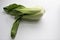 Cabbage pak choi on a neutral background.