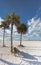 Cabbage palms frame entrance to Siesta Cay beach in FL