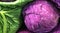 Cabbage, Purple, bright color contrast