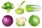 Cabbage set. Green nutrition agricultural objects vegetarian food natural healthy fresh products vector realistic