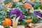 Cabbage, squash, broccoli, corn, pumpkins . Healthy organic eco-food.