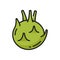 Cabbage turnip isolated Kohlrabi vegetable icon