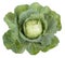 Cabbage vegetable