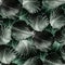 Cabbage vegetable leaves seamless pattern