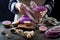 Cabbage and watermelon radish kimchi ingredients. Woman salting purple cabbage for kimchi. Fermented probiotic food for gut health