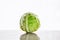 cabbage on white background