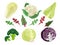 Cabbages cartoon. Green vegetarian natural food plant salad harvest eat vector set