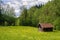 Cabin in the Alps