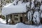 Cabin buried with snow on roof & trees