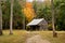 Cabin deep in the forest