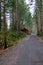 Cabin on dirt road in the forest