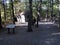 Cabin of Henry David Thoreau near Walden Pond, Concord, Massachusetts, USA