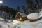 Cabin house chalets in winter forest with snow in light moon and