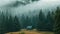 A cabin nestled among the trees in the middle of a vast field, Misty hills with a small cabin amidst tall trees