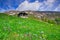 Cabin up in the mountains and a meadow in Macedonia