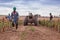 CABINDA/ANGOLA - 09JUN2010 - Team of African farmers walking between planting with tractor.